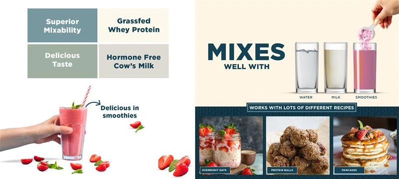 Whey Protein Mixe Process - Kinetica