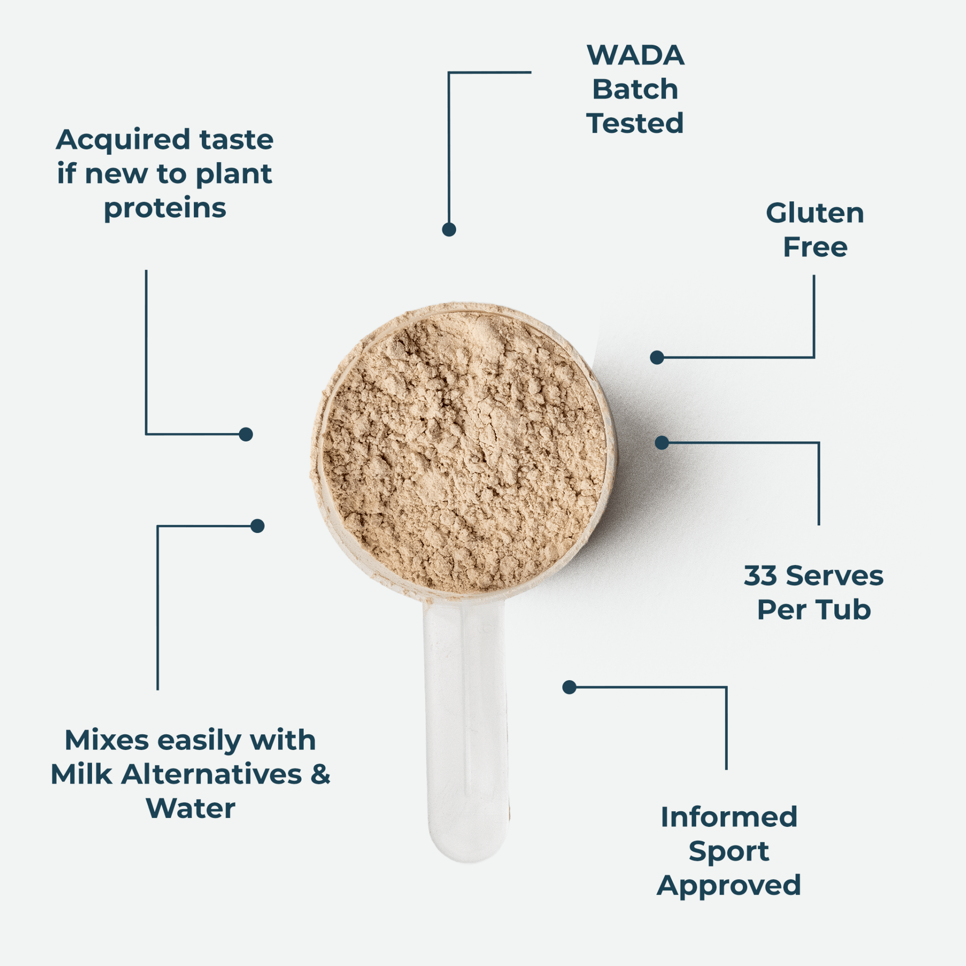 Scoop of plant protein powder