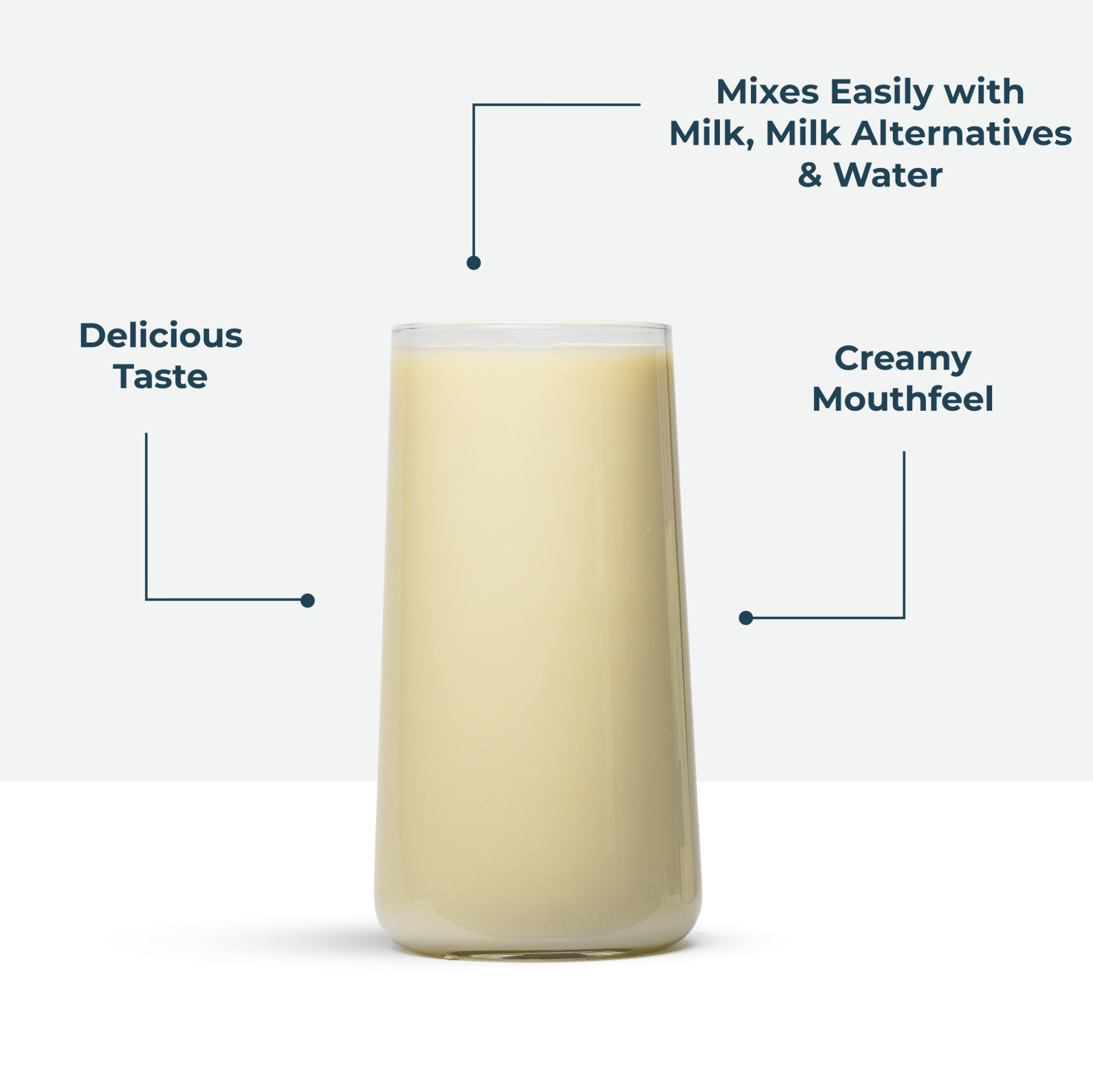 Whey Protein Banana 1kg