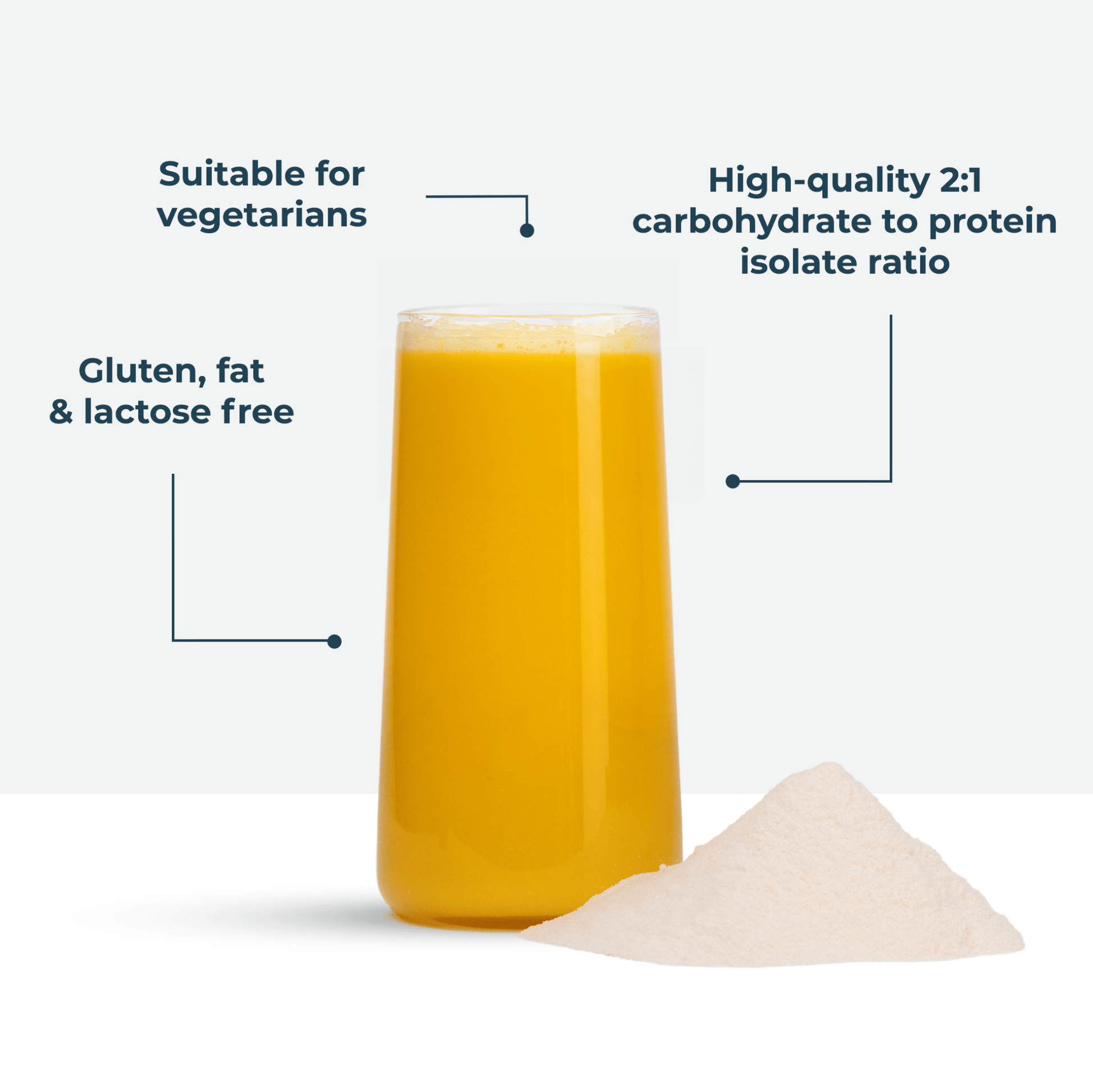 Recovery Powder 1.5kg Orange & Mango Product USPs